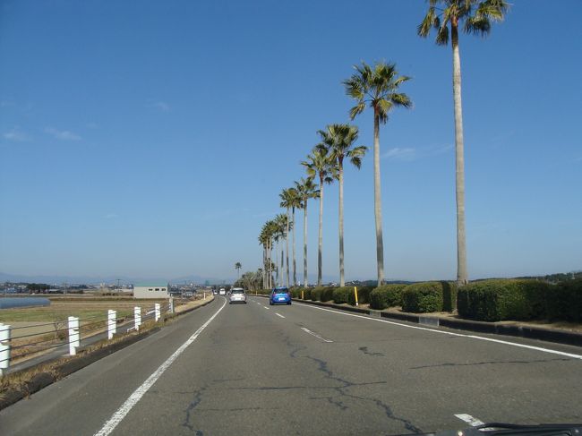 前日、高原町に宿泊し宮崎市内に移動。<br />青島、ミヤチク、フェニックス自然動物園、掘切峠(道の駅フェニックス、鵜戸神宮、おぐら本店）