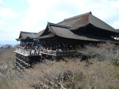 修学旅行以来の京都。