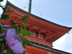 2008 北陸・滋賀の旅 その? ～ 比叡山延暦寺 ～