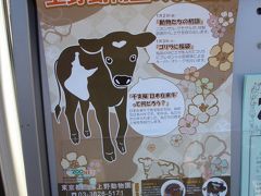 江戸東京紀行（動物園でお正月！三島牛は天然記念物、上野動物園の巻）