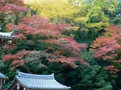 日本の旅　関西を歩く　箕面（みのお）の瀧安寺周辺