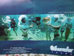 1木曜4日目2午後はサヌールでシーウオーカーおそろしかった－