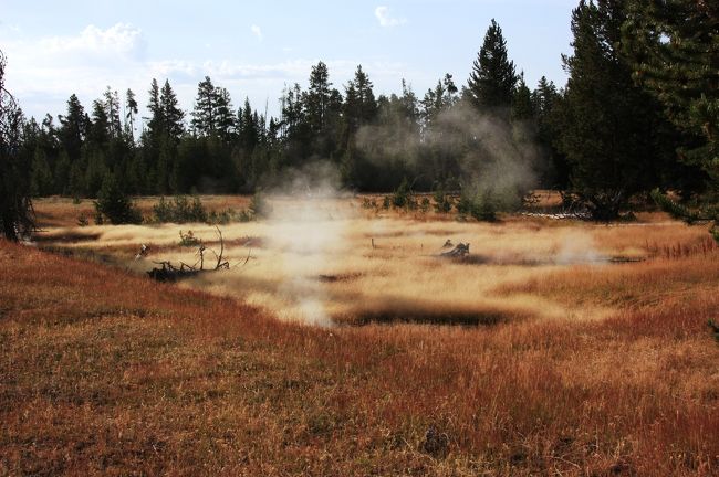 Lake Village から 西方の Upper Geyser Basin へ向かう途中、Yellowstone Lake の西の端にある West Thumb Geysey Basin に立ち寄りました。<br /><br />イエローストーンレイクは北から見ると左手を広げたような形をしています。<br />ちょうどその親指に当たるエリアが West Thumb と呼ばれています。<br /><br /><br />ホテルを出た時の気温は3℃。この寒さも手伝って、West Thumb は湯けむりもうもうでした。