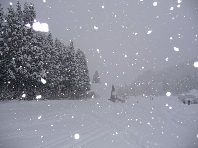 セントレジャー舞子スノーリゾートへ行ってきました<br /><br />途中からかなり天候が悪くなり、寒かったけど、ふわふわの雪が楽しめました。