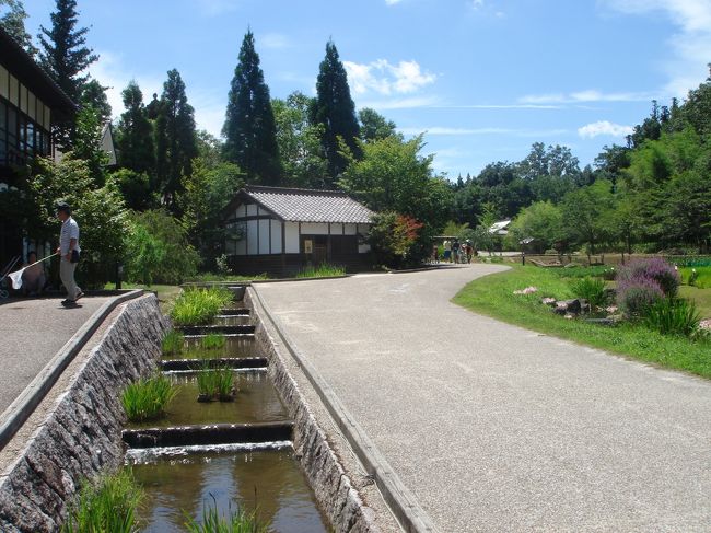 以前住んでいた広島県北部を訪ねて、その後出来た国営備北丘陵公園を訪ねました。短い時間で、夏の暑い日差しの元だったので、じっくり見ることが出来ませんでしたが、時間さえ許せば、一日ノンビリと出来る所だと思います。