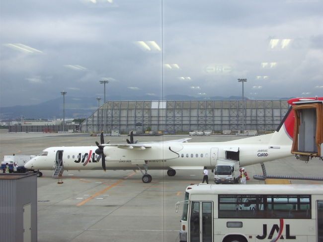 大阪空港から松本空港へ、ボンバイアにのって行きました
