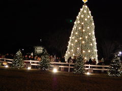 2008年12月末　ホワイトハウスのクリスマスツリー