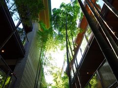 箱根散策と旅館「桜庵」