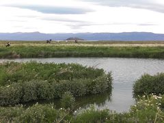 2008年冬 アルゼンチンの旅 エル・カラファテ