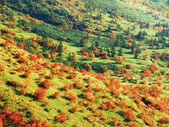 草津白根山の紅葉　2008