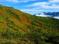 日本で一番早い紅葉を求めて／大雪山（赤岳～白雲岳～緑岳）