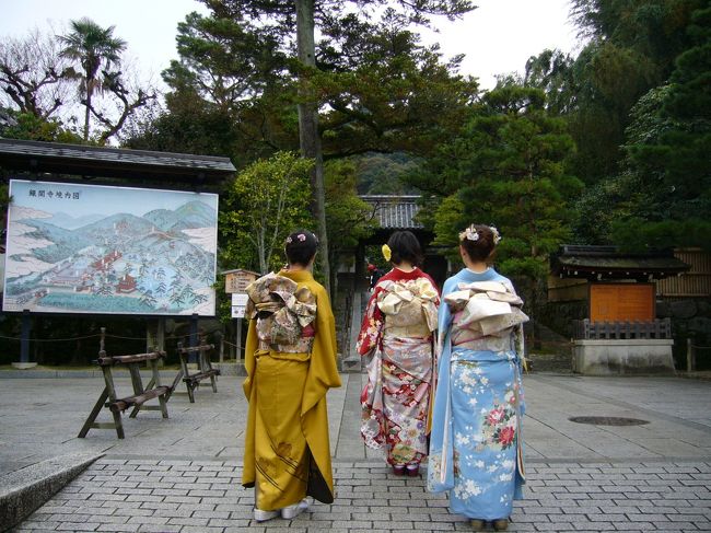 始まりは妹が振袖を購入した際の商売上手な業者さんの一言。<br />「もし京都へ行かれるなら、着物持参していただいたらこちらでお安く着付けなんかやらせていただきますし、そのまま京都散策なさったらいかがですか??」<br />・・・・☆彡<br />着物で京都散策?!素敵じゃないですか・・・☆<br />せっかく持ってるんだし着なきゃもったいないよね?!<br />っとなんとか母を乗り気にさせ、「三姉妹+母」の初女4人旅行が決定しました~♪♪<br />着物で散策したのは1日目だけでしたが夢のような一日でした☆彡<br />二度とはできないような貴重な体験をさせてくれた母に感謝です!!<br /><br />そして成人式でも結婚式でもないのに無駄に目立つ・・・<br />悪目立ちしてたと思うけど、そう、二度とは出来ないからいいのです。<br />思い出はプライスレス。。。!!<br /><br />一泊二日。<br />1日目…東山 銀閣寺→哲学の道→南禅寺+ライトアップ永観堂<br />2日目…清水寺と衣笠エリア<br /><br />前編は1日目の銀閣寺と哲学の道編♪<br /><br />ーーーーーーーーーーーーーーーーーーーーーーーーーーー<br />※2008年に投稿したものの写真を一部修正しました。枚数などに変更はありません。<br />※文章はほぼ最初のまま変更ありません。(一部加筆、修正あり)