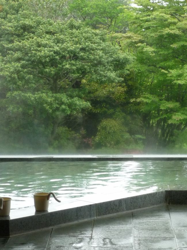 毎年、この時期に行っている箱根旅行。<br />メンバーの年も幅広く、新鮮です。