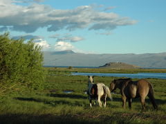 絶景を求めてアルゼンチン縦断その０２～パタゴニア／エル・カラファテ