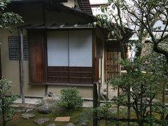 大徳寺の興臨院、高桐院へ  KYOTO−Daitokuji・Korinin, Kotoin