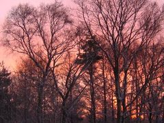 ムーンライトの雪見露天　真田一族の郷にて　