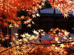 その６―東福寺―　秋色の京都を辿る旅