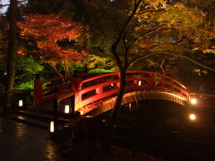 JRで行く！紅葉の京都日帰りの旅2008（最大催行人数1人）