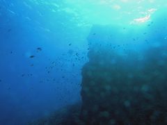沖縄の海　チービシ、ケラマ[3]
