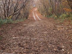 お手軽登山と白ごはん：弥彦山