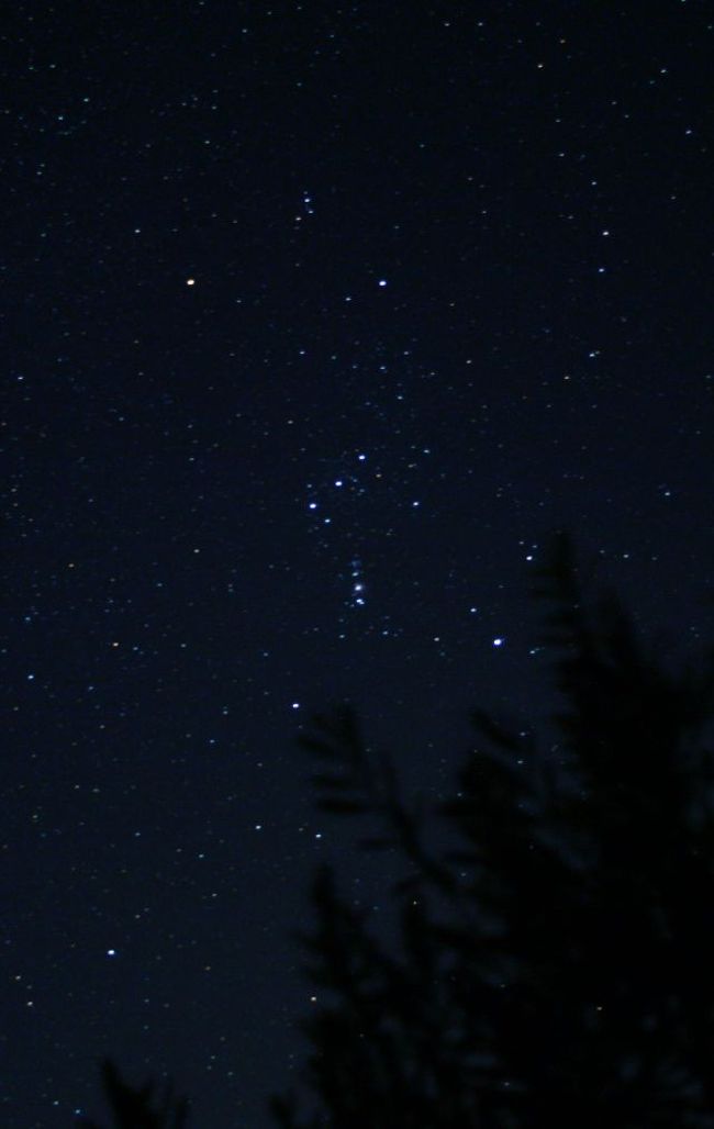 流星群を撮ろうとして、オリーブ園に三脚を立てて見たが、カメラの写界には残念ながら星は流れず、二時間粘った後、撤収したでがんす。