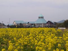 お花が見たいと南房総の富浦へ