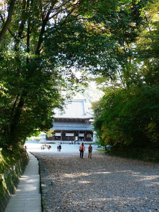 泉涌寺 （せんにゅうじ）は、真言宗泉涌寺派総本山の寺院。<br />開基は鎌倉時代の月輪大師俊&#33471;（がちりんだいし・しゅんじょう１１６６−１２２７年）といわれ東山三十六峰の南端、月輪山の山麓に建立されている。泉涌寺は律宗を中心として天台宗、真言宗、禅宗、浄土宗の五宗兼学の道場として栄え、１２２４年に後堀河天皇（ごほりかわてんのう１２１２−１２３４年）により皇室の祈願寺と定められた。鎌倉時代の後堀河天皇、四条天皇（しじょうてんのう１２３１−１２４２年）、江戸時代の後水尾天皇（ごみずのおてんのう１５９６−１６８０年）から幕末の孝明天皇（こうめいてんのう１８３１−１８６７年）に至る歴代天皇の陵墓があり、皇室の菩提寺として「皇室の香華院（こうげいん・香をたき、花を供え、先祖が眠る寺）」、「御寺（みてら）泉涌寺」と尊称され仁和寺、大覚寺などとともに皇室ゆかりの寺院として知られている。<br />泉涌寺は１２５５年に俊&#33471;の弟子湛海(たんかい)が仏舎利とともに中国・南宋から持ち帰った楊貴妃観音像が良く知られている。楊貴妃（ようきひ７１９−７５６年）は唐の玄宗皇帝（げんそうこうてい６８５−７６２年）の寵愛の度が過ぎたために政争に巻き込まれ、安史の乱（あんしのらん７５５−７６３年）を引き起こしたとして処刑された。<br />楊貴妃観音像は玄宗皇帝が已む無く処刑した妃を哀れみ等身座像を彫らせたものと伝えられ、泉涌寺の留学僧の湛海（たんかい）が１２５５年の帰国時に持ち帰ったといわれている。楊貴妃観音像は１００年に一度だけ公開する秘仏だったが１９５５年から一般公開されている。１９５５年以前は見ることもできなかった秘仏を現在は常時拝むことができるのはうれしいことだ。<br />（写真は泉湧寺境内の光景）<br />