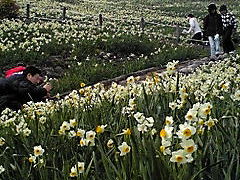 ★今年も･･･”お千代さん”の「長崎・野母崎～長崎市内」のバスハイク･･･の旅。