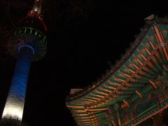 ２００８年１１月　初めての一人旅　ＩＮソウル～１日目～