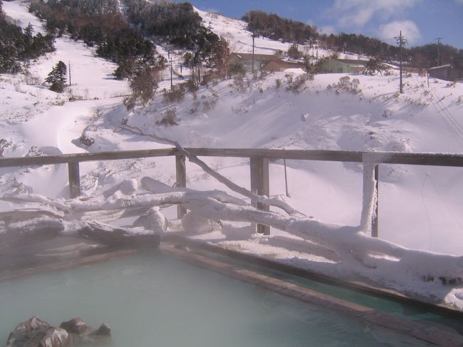 白濁した湯に初めて入ったのが、ここ万座温泉!<br />スキー場を見上げながら入った露天風呂からの眺望が忘れられなくて、何度も訪れています。<br />湯よし・眺望よし・ムードよしの癖になる温泉です。<br /><br />白根山の懐、標高1,800mに位置し、日本最高所の温泉で「星に一番近い温泉」として知られている。<br />昔から豊富な湯量で、泉質は27種類を数え、効能も多彩。<br />スキー場トップからの北アルプスの眺望は素晴らしい。<br />宿は点々とあり、温泉街はない。<br /><br />過去に、お泊りした宿は2軒。<br />プリンスホテルと万座温泉ホテル(ともにスキーシーズン)<br />日帰り利用は、春の志賀高原・秋の草津の寄り道。<br />思い出のページを捲りながらUPして行きます。<br /><br />今回は、「極楽の湯」でアヒル隊長の初露天です。<br /><br /><br /><br /><br /><br />