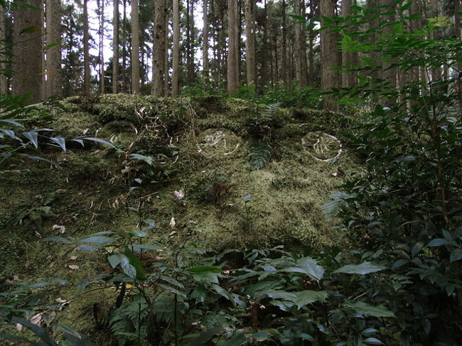熊野古道の中でも難関コースである。<br />山岳登山とまでは言わぬが、ハイキングレベルで考えていると酷い目に遭う事請け合いである。<br />ただ、古道マニアにはこの「大雲取越」が一番いいと言う人も多い。<br /><br />体力にそれなりの自信のある向きは一度歩かれる事をお勧めするのである。<br /><br />神々と対話出来るかも知れないのである。<br /><br /><br /><br />青岸渡寺〜小口 14.9Km<br />世界遺産登録地域<br />・中辺路(大雲取越)<br />