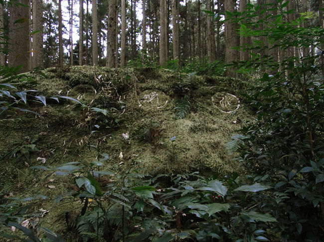 熊野古道の中でも難関コースである。<br />山岳登山とまでは言わぬが、ハイキングレベルで考えていると酷い目に遭う事請け合いである。<br />ただ、古道マニアにはこの「大雲取越」が一番いいと言う人も多い。<br /><br />体力にそれなりの自信のある向きは一度歩かれる事をお勧めするのである。<br /><br />神々と対話出来るかも知れないのである。<br /><br /><br /><br />青岸渡寺〜小口　14.9Km<br />世界遺産登録地域<br />・中辺路（大雲取越）<br />