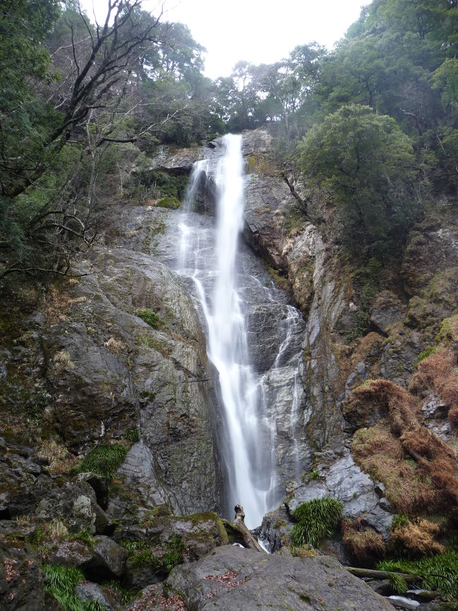 九州の滝めぐり３日目の最後の目的地は、熊本県八代市泉町にある日本の滝百選『栴檀轟（せんだんとどろ）の滝』です。<br />山深い五家荘地区にあります。五家荘では滝のことを“轟（とどろ）”と呼んでいて、かつてこの滝の近くに大きな栴檀に木があったところから『栴檀轟の滝』と名付けられたそうです。<br /><br />今回は時間の都合で行けませんでしたが、この近くには「梅の木轟（うめのきとどろ）の滝」という名の滝もあります。<br /><br />※日本の滝百選はこれで48ヵ所めとなりました。