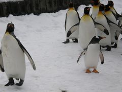 2009年1月北海道旅行　その１　出発＆札幌＆旭山動物園