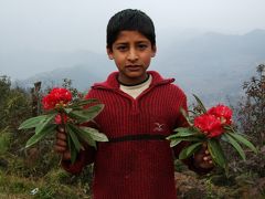 ネパール～一人旅～