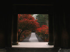 紅葉の京都を訪れる。。臨済宗南禅寺派大本山、南禅寺。国の重要文化財、三門から紅葉を望む