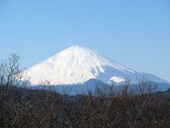 富士山には菜の花が似合う　湘南　吾妻山−１　２００９