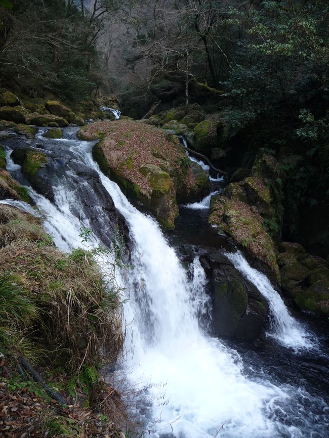 今回の旅行の最後の目的地である菊池渓谷にやって来ました!<br />日本の滝百選「四十三万滝」を含む滝群と美しい渓谷があるというので、とても楽しみにしていました。<br />【その19】では、往路をご紹介します。<br />※「四十三万滝」は復路に含めました。