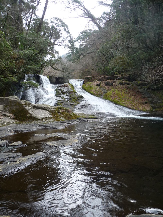 今回の旅行の最後の目的地である菊池渓谷にやって来ました!<br />日本の滝百選「四十三万滝(よんじゅうさんまんだき)」を含む滝群と美しい渓谷があるというので、とても楽しみにしていました。<br />【その20】では、日本の滝百選『四十三万滝』と菊池渓谷(復路)をご紹介します。<br /><br />※祝!!日本の滝百選50ヵ所到達。<br />当初の目標だった50ヵ所を2008年の最後に達成できて感無量です。<br />2009年の目標は60ヶ所到達です。<br />