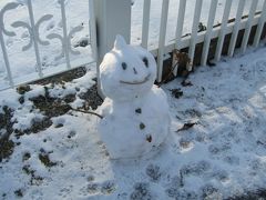はじめまして！函館　　第二日目