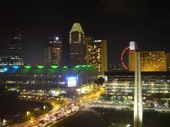 秘境から都会まで　2007～2008メナド・シンガポール旅行記?
