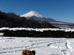 ０８．エクシブ山中湖　日の出の富士山　ラウンジドルチェのコンチネンタルブレックファースト