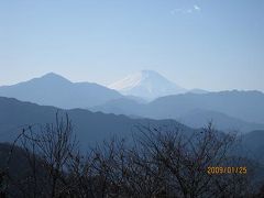 早春の高尾山