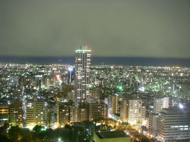 今年初めての東京です。<br /><br />往 路:ANA<br />復 路:ANA<br />宿 泊:ハイアットリージェンシー東京<br /> 24階<br />費 用:5万円