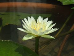 ２００６年９月バンコク１泊３日の旅♪ その１