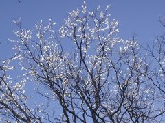 筑波山ハイキング前編　茨城県つくば市