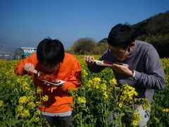 伊良湖小旅行