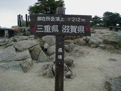 今年のドライブで