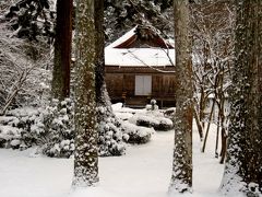 極寒の都旅・冬の妖精到来(大原編)