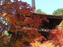 湖東三山をめぐる紅葉撮影の旅